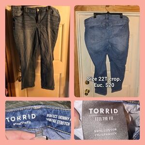 Torrid Blue Skinny Jeans